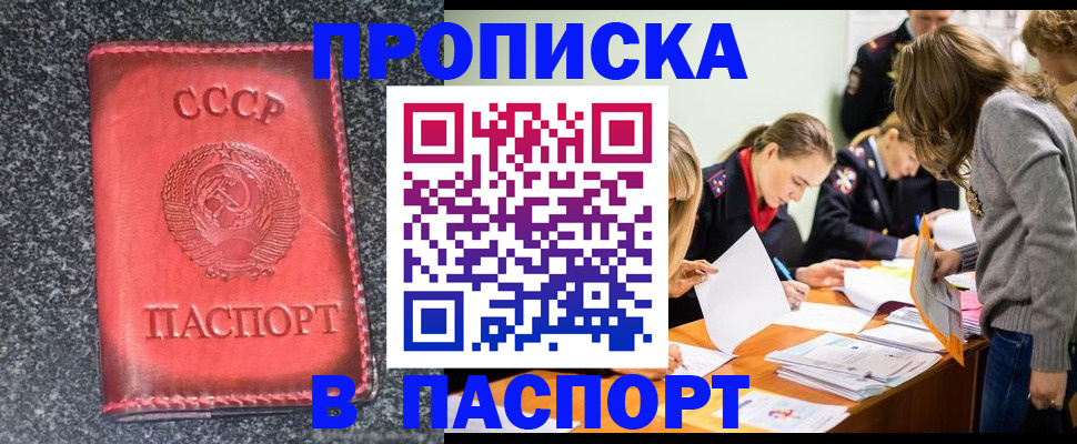 прописка для школы в Суворове